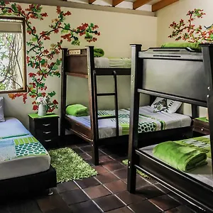 The Garden Of Blues Hostel